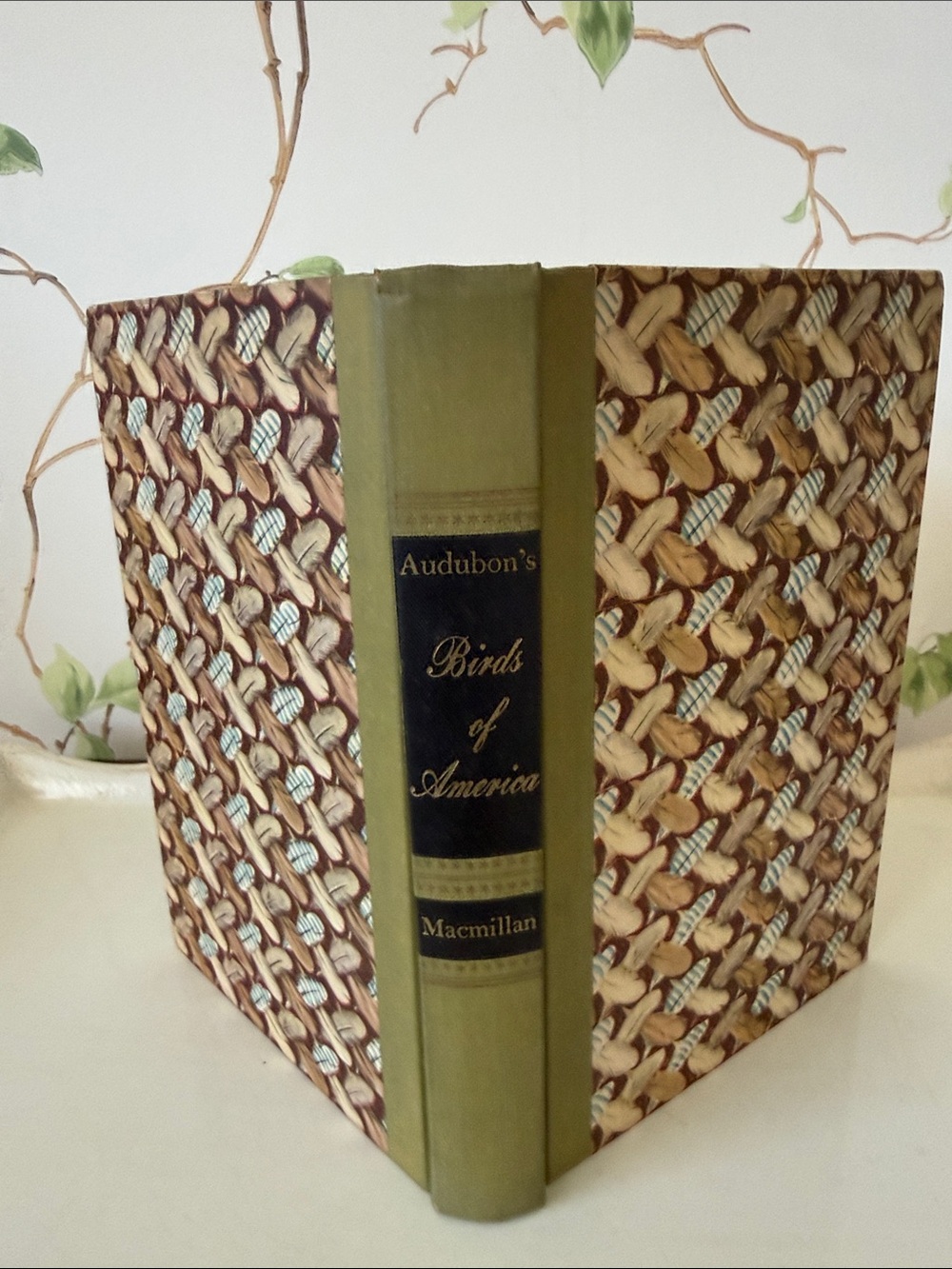 Audubon’s Birds of America Book - 1950 Macmillan
